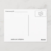 Gitan Girl avec cheval Vintage Antique carte posta (Dos)