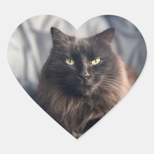 Gitan - Stickers Chat Noir (Devant)