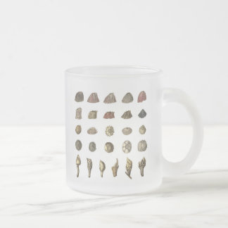 Givré Tasse de la bernache de Charles Darwin