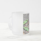 Givré Tasse de souris (Devant gauche)
