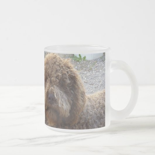 givrée avec photo de lagotto-romagnolo de tasse (Droit)