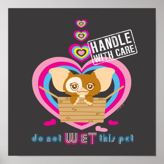 Gizmo | Dit pakket niet nat Poster (Voorkant)