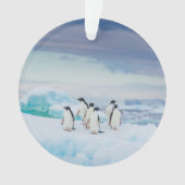 Glace et neige | Adelie Penguins Antarctique (devant)
