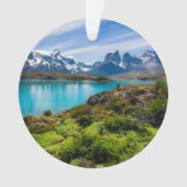 Glace et neige | Lac Pehoe, Patagonie, Chili (devant)