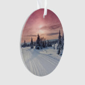 Glace et neige | Lillehammer, Norvège (devant)