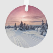 Glace et neige | Lillehammer, Norvège (dos)