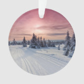 Glace et neige | Lillehammer, Norvège (devant)