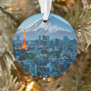 Glace et neige Mt. Fuji et Tokyo Skyline