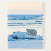 Glace et neige | Ours polaire Iceberg Norvège (Dos)