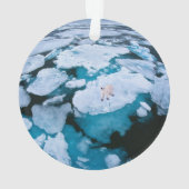 Glace et neige | Ours polaire, Océan Arctique, Sva (dos)