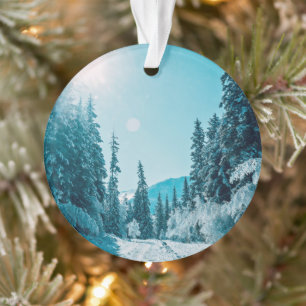 Glace et neige   Réserve naturelle de l'Altaï, Rus