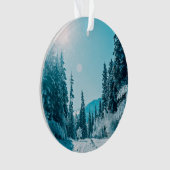 Glace et neige | Réserve naturelle de l'Altaï, Rus (devant)