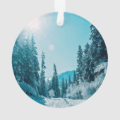 Glace et neige | Réserve naturelle de l'Altaï, Rus (dos)