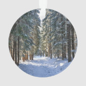 Glace et neige | Tatra Mountains, Pologne (dos)