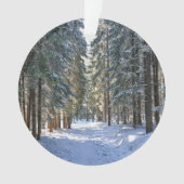 Glace et neige | Tatra Mountains, Pologne (devant)