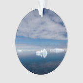 Glace flottante en Antarctique (devant)