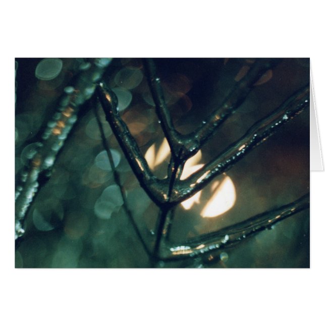 Glace, nuit, lumière (Devant horizontal)