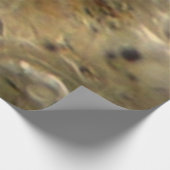 Glacial Ice Abstracte Natuur Textuur Houten Poster (Hoek)