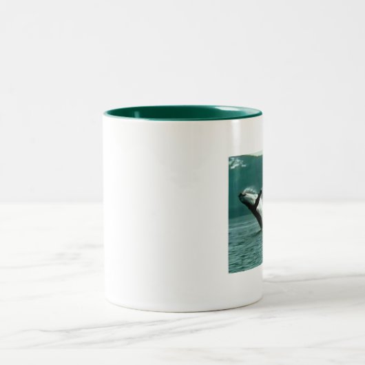 Glacier Bay Alaska walvis, mok (Center)