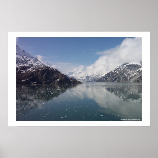 Glacier Bay Poster (Voorkant)