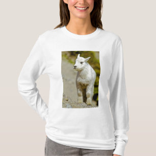 Glacier National Park, Montana, VS, Berg T-shirt