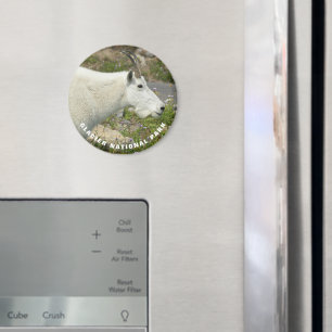 Glacier National Park Mountain Goat Foto Magneet