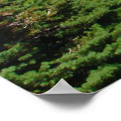 Glacier National Park Northwest Montana Poster (Hoek)