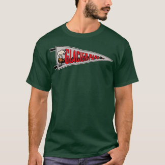 Glacier National Park Pennant 1 T-shirt