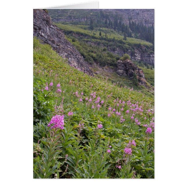 Glacier Park (Voorkant)