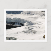 Glacier Snow Post Kaart (Voorkant)