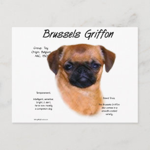 Glad Brussel Griffon Geschiedenis Briefkaart