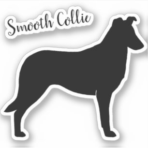 Gladde Collie Silhouette Hondenras Vinyl Sticker
