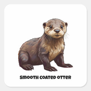Gladde gecoate otter pup vierkante sticker