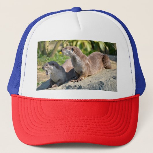 Gladde otters die liggen trucker pet (Voorkant)