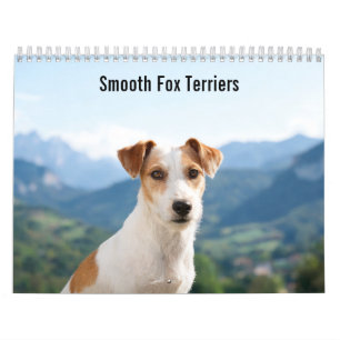 Gladde Vossen Terriers 2027 Muurkalender Kalender
