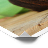 Gladder, Gold Agouti Guinee Pig Poster (Hoek)