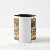 Glade Creek Grist Mill, Babcock State Park, 2 Mok (Midden)