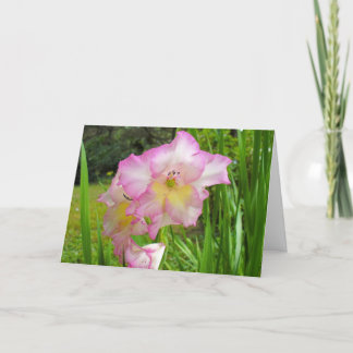Gladiola denkt aan je kaart