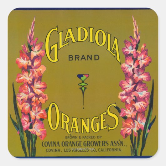 Gladiola Marque Citrus Étiquette (Devant)
