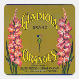 Gladiola Marque Citrus Étiquette