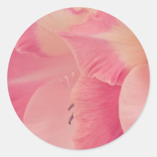 Gladiola Petals Ronde Sticker (Voorkant)