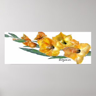 Gladiola Waterverf Afdrukken Poster