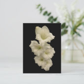 Gladiolas Briefkaart (Staand voorkant)