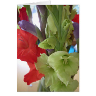 gladiolas de pam