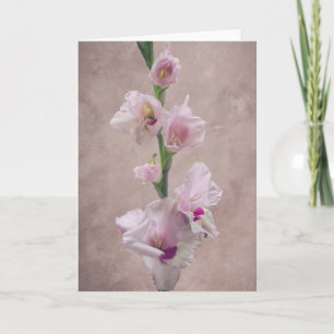 Gladioli-bloemkaart Kaart