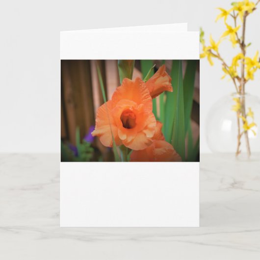 Gladioli, carte (Fleur jaune)