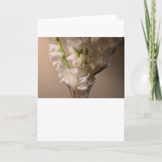 Gladioli, carte (Devant)