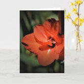 Gladioli, carte (Fleur jaune)
