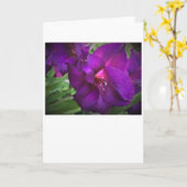 Gladioli, carte (Fleur jaune)