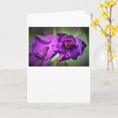 Gladioli, carte (Fleur jaune)